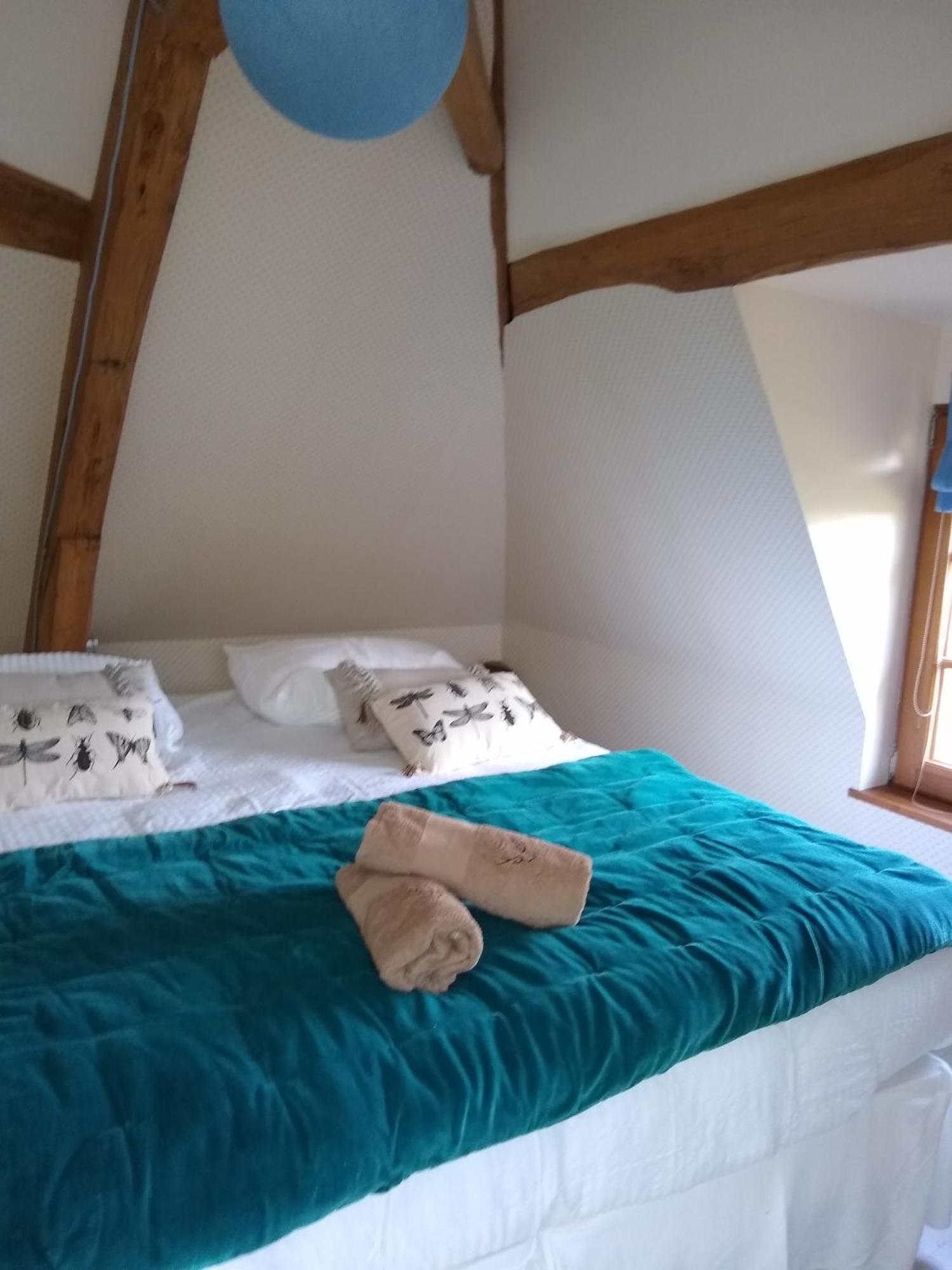 Villa Domaine de la Vaudouriere à Lunay Chambre photo